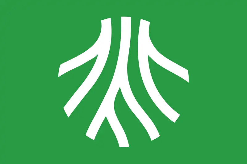 الفعاليات والمهرجانات